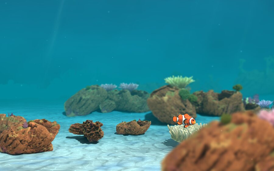 The clownfish resting in its anemone