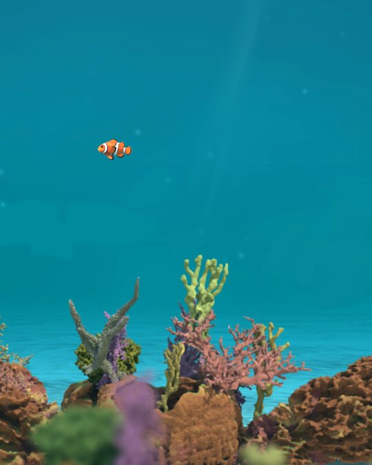 A young clownfish over the coral garden, the free version
