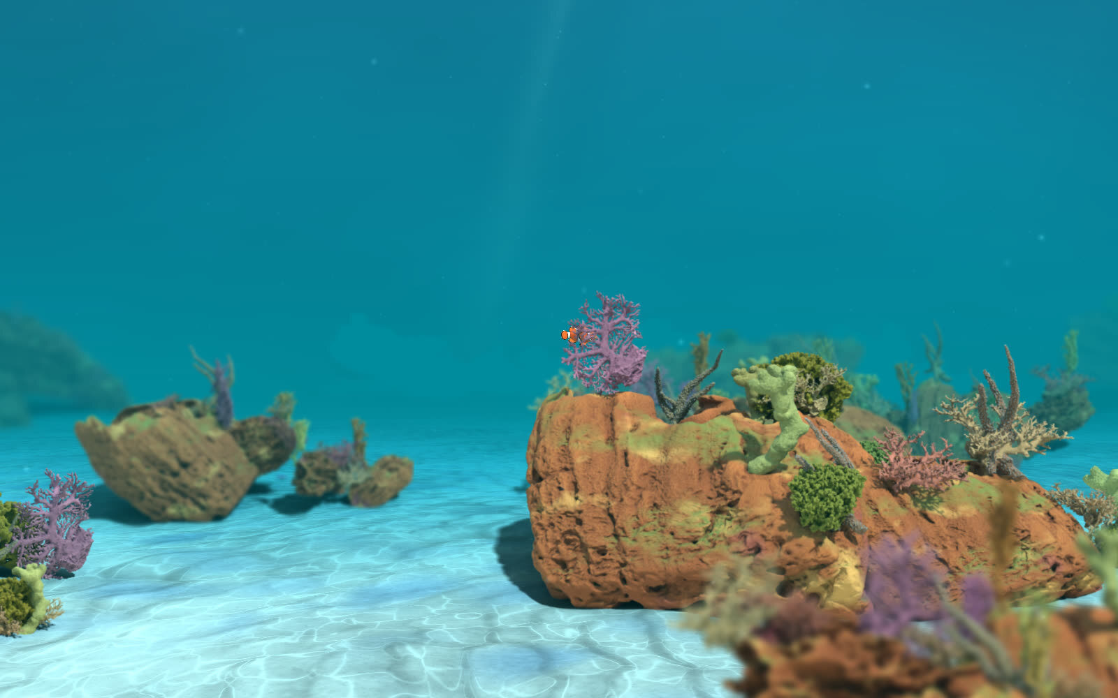 The clownfish over its coral reef on a bright day