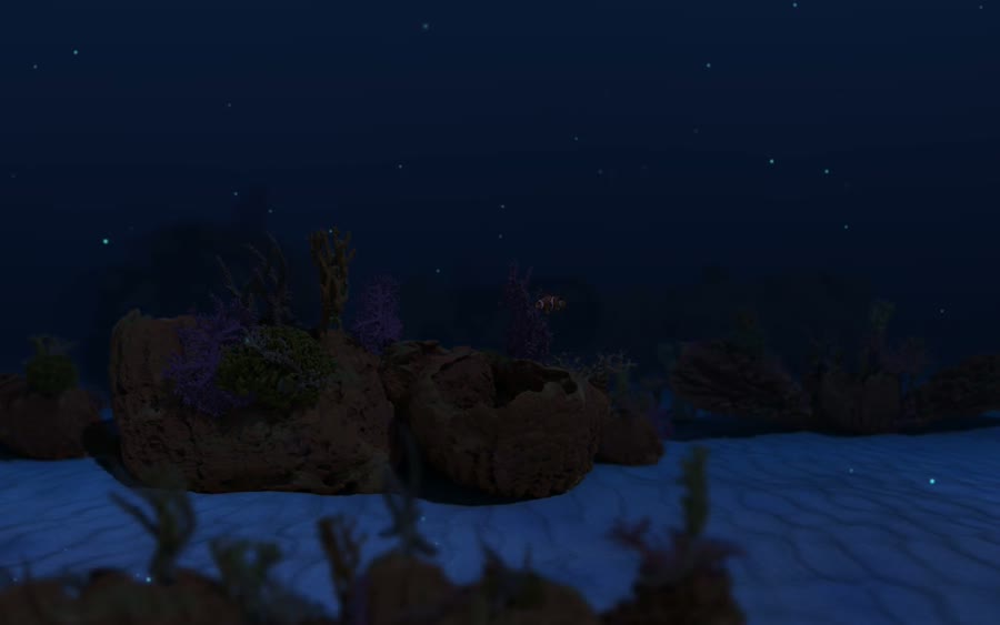 The reef at night, glowing blue