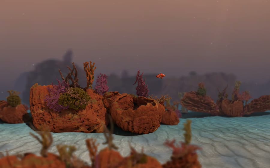 The reef in warm, rosy light